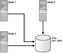cluster-file-system